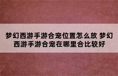 梦幻西游手游合宠位置怎么放 梦幻西游手游合宠在哪里合比较好